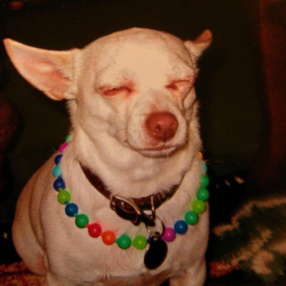 My fur babies and others. Lol. - Picture 7 of 15